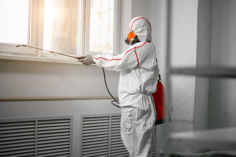 Professional mold remediation services in Elkton, FL